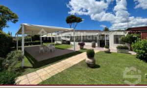 Scopri di più sull'articolo Ristorante in Affitto – FREGENE – via del Porto, Gestione attività e locazione mura 480 mq, totale 250 coperti circa. € 5.500,00 mese + Buonuscita