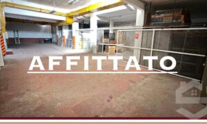 Scopri di più sull'articolo Affitto – Roma – Fidene, via Piteglio, Magazzino/Uffici mq. 503 € 2.900,00