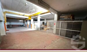 Scopri di più sull'articolo Affitto – Roma – Fidene, via Piteglio, Magazzino/Uffici mq. 503 € 2.900,00
